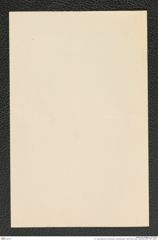 k.k. naturhistorisches Hofmuseum, Intendanzakten 1885-1896 (Hauer), Aktenzahl Z.691/1891, Seite 4